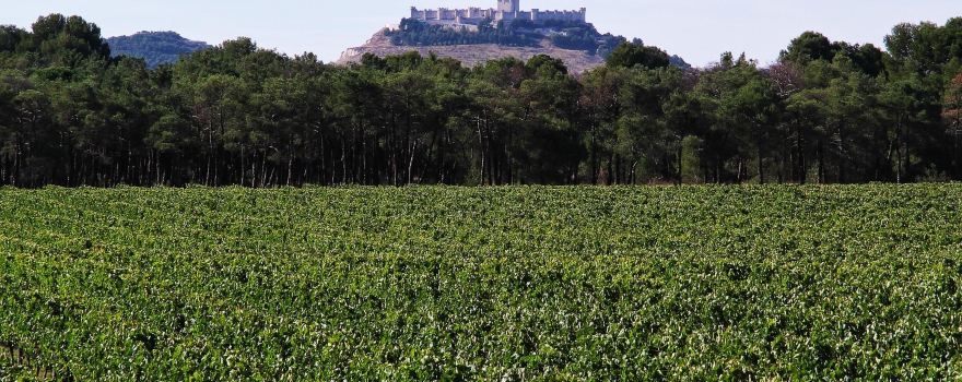 Bodegas Legaris