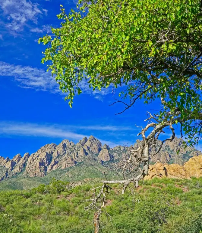 Dona Ana County