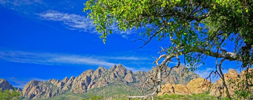 Dona Ana County