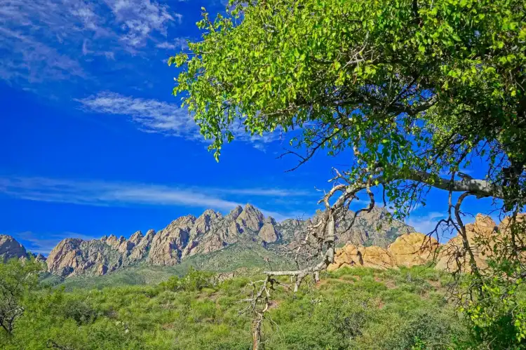 Doña Ana County