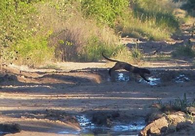 Kaa-Iya National Park