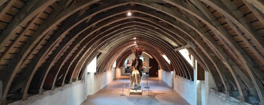 Chateau de Fougeres-sur-Bievre
