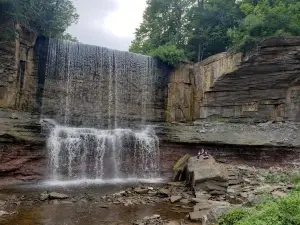 Indian Falls Conservation Area