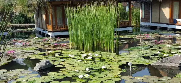 Hotels near Rumah Makan Cibiuk