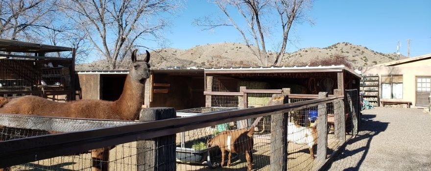 Casa Grande Trading Post