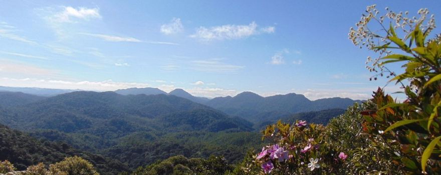 Ribeirão Grande