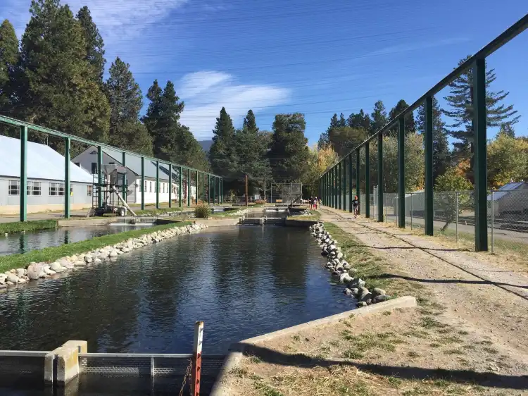 Hotel in zona Mount Shasta Fish Hatchery