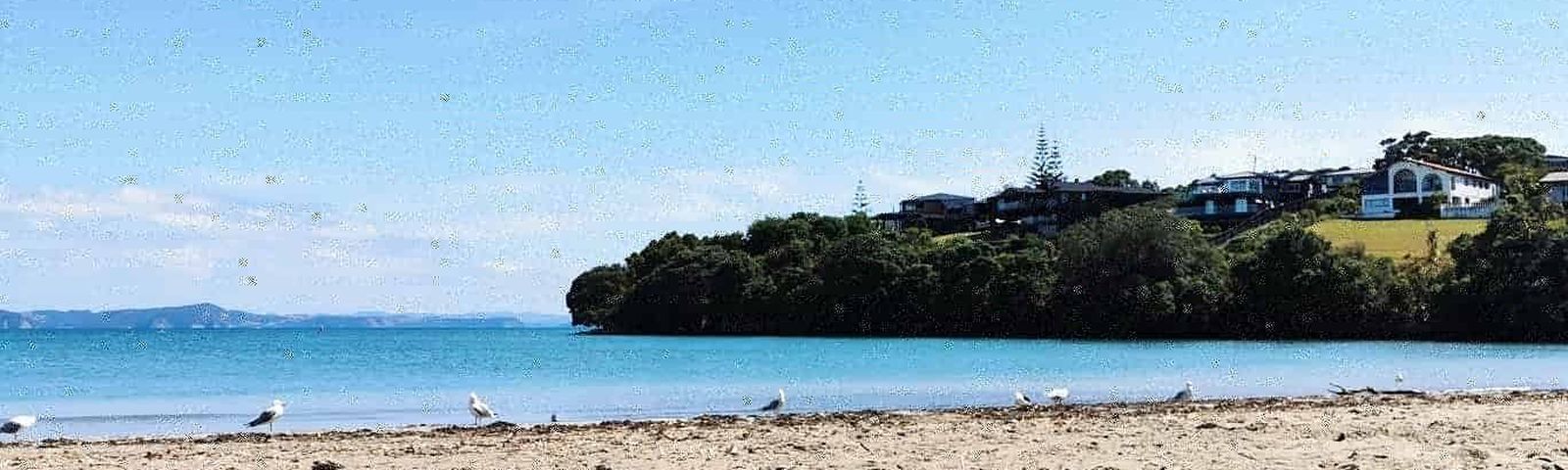 WhangaparaoaTours