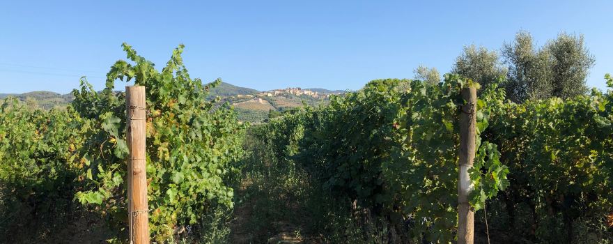 Azienda Agricola Fornacelle