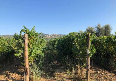 Azienda Agricola Fornacelle