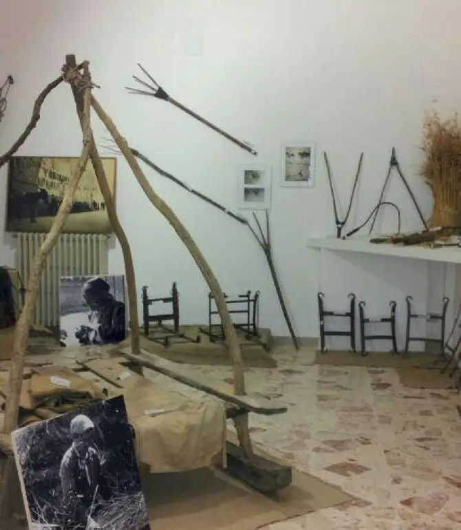 Nissoria
