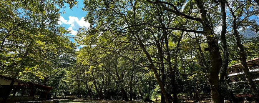 Agios Nikolaos Park