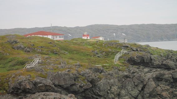 Sankt Anthony