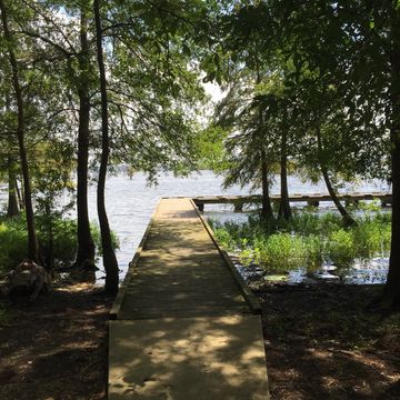 Lake D'Arbonne State Park