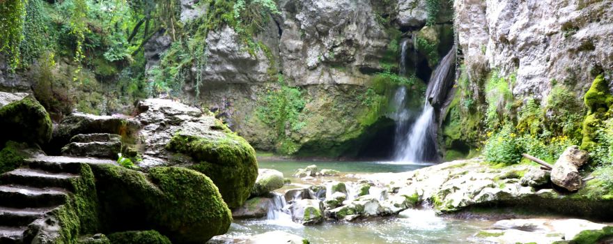 Tine De Conflens