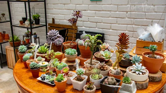 Glasshouse Fraser's Hill