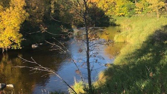 Lake Bronson State Park