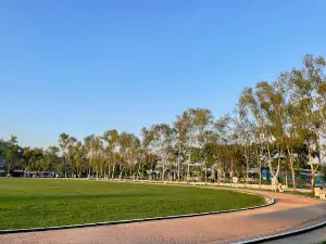Campo Marte