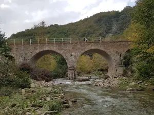 Çakallı Creek