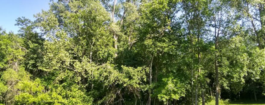 Cave Hollow Park