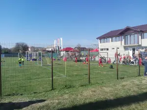 Stadionul CS Viitorul