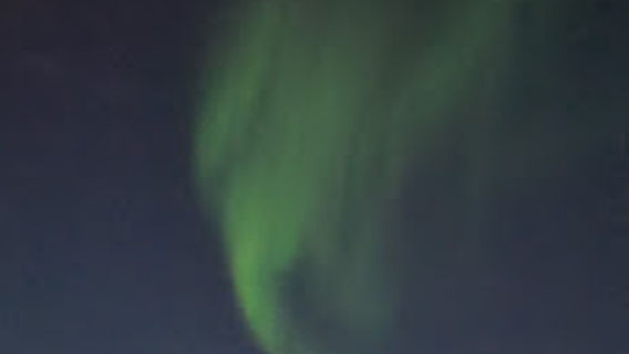 Senja
