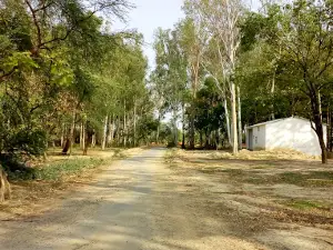 prathamdev bahiradev siddhpith dham