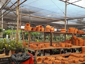 Pronta Flora - Interflor Comércio de Plantas Ltda.