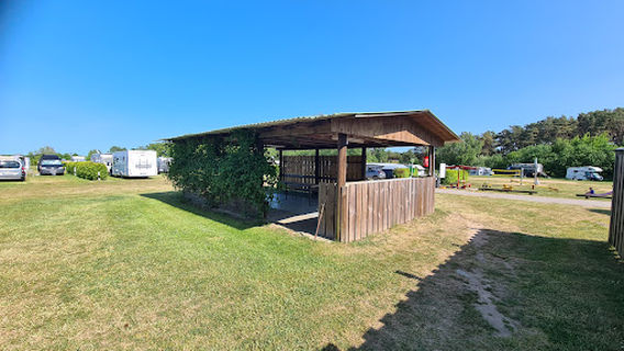 Camping Forest Camp Freest