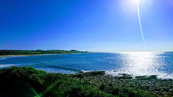 Kwelera National Botanical Garden