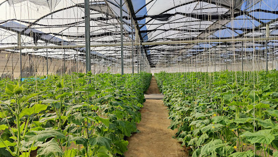 Agrícola Bioma Sur Park