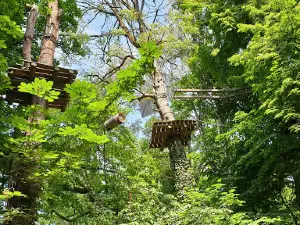 Kletterwald Müritz