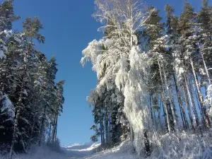 Красное Озеро