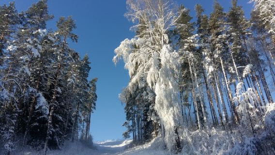 Krasnoye Ozero