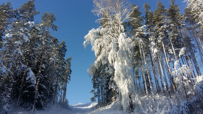 Krasnoye Ozero