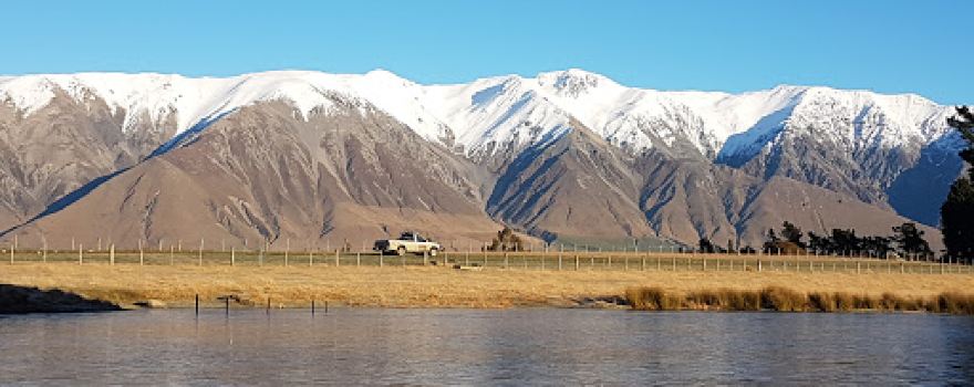 Benlea - Sheep & Cattle Farm Tours