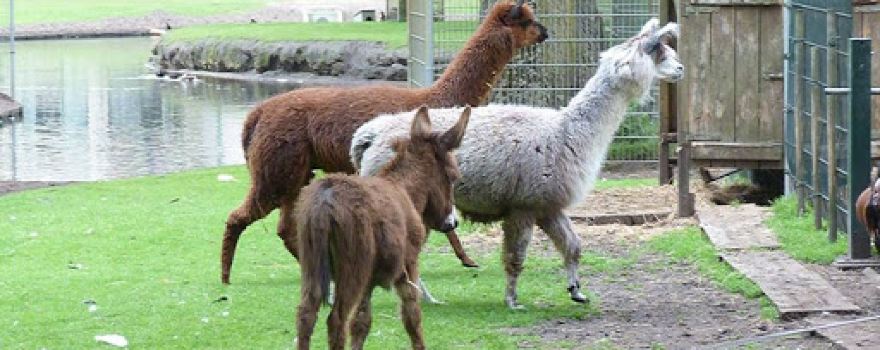 Stichting Vrienden van het Hertenpark