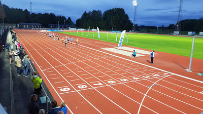 Stadium arena