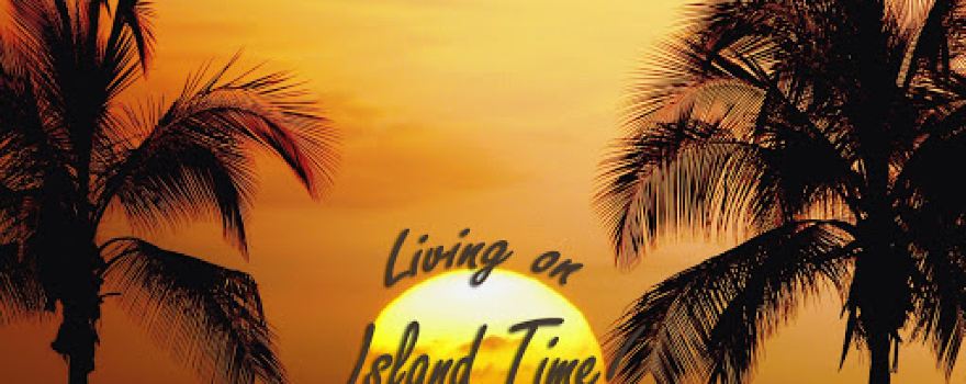Hawaiian Tan Salons - Hugo