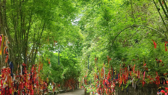 สกายวอล์ค วัดเขาตะแบก