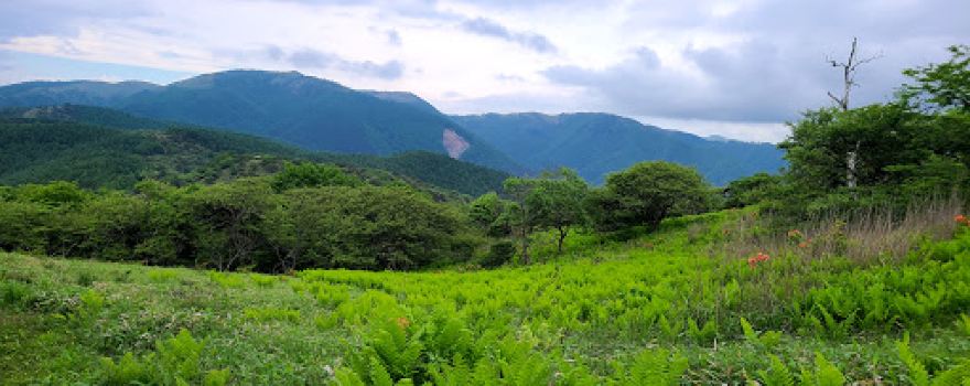 Takabocchi plateau