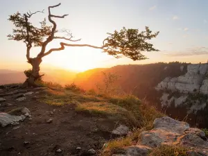 Creux du Van, panorama ouest