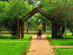 Parque Iracema