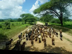 Kondoa Irangi Cultural Tourism