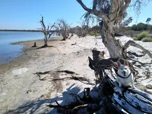 Herron Point Campground