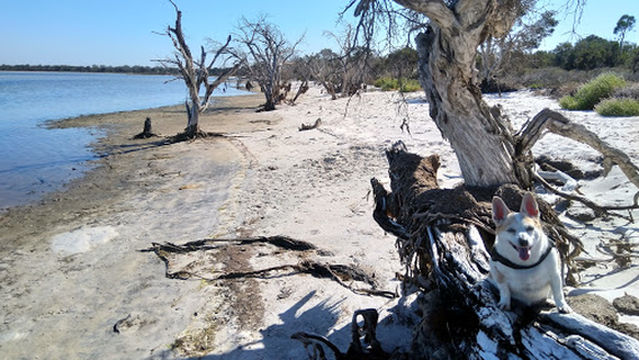 Herron Point Campground