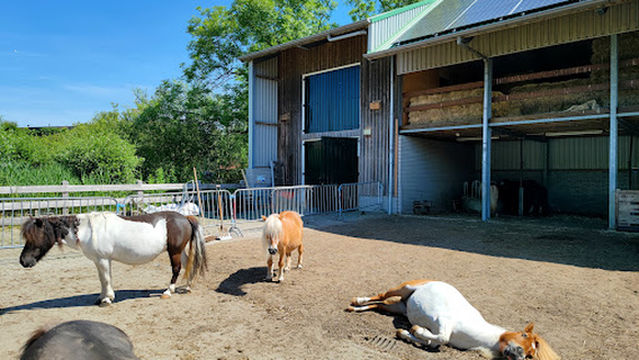 Kinderboerderij Merenwijk