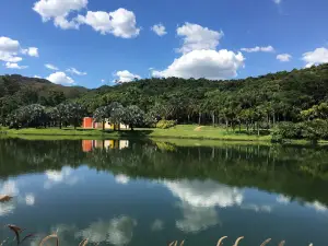 J7 - Lago das Orquídeas