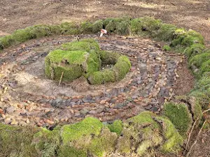 Gnomeskov (Wichtelwald)