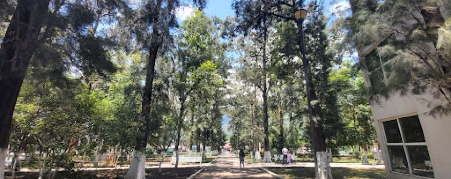 Alameda Benito Juárez
